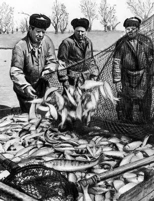 Астраханская область Рыбаки колхоза имени Советской Армии Астраханская - фото 45