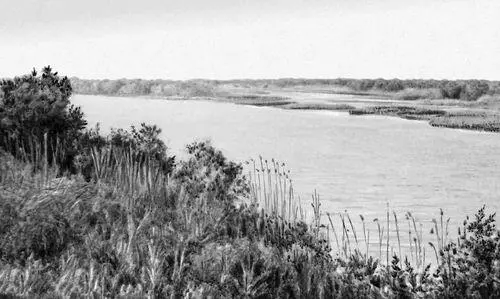 Астраханская область Дельта Волги Астраханская область Морской - фото 46
