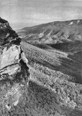 Голубые горы В штате Виктория Хребет Макдоннелл в районе Южного тропика - фото 148