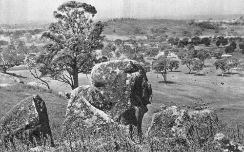 В штате Виктория Хребет Макдоннелл в районе Южного тропика - фото 149