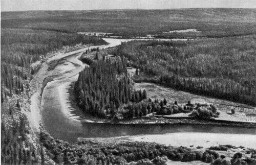 Якутская тайга Река Нюя левый приток р Лены Озеро Байкал Район - фото 102