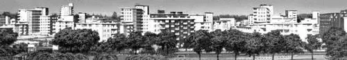 Берлин Западный Жилой комплекс Северный Шарлоттенбург195561 Архитектор X - фото 399