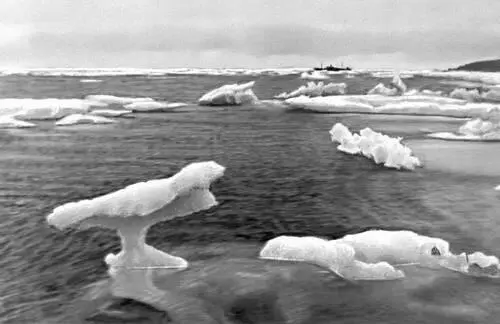 Тающие льды в Беринговом море Берингово море Беринговский - фото 389