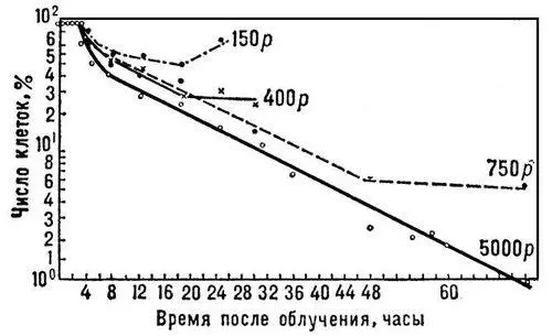 Рис 1 Влияние дозы облучения на число и сроки выживания клеток костного - фото 58