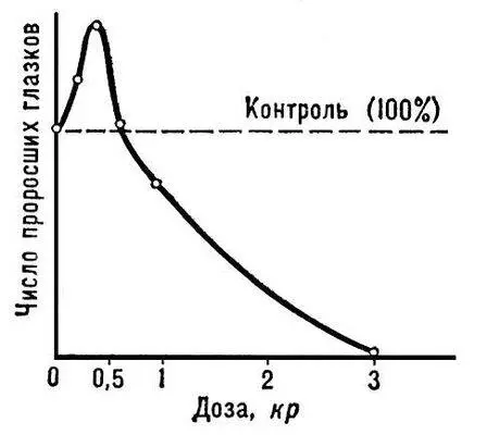 Рис 4 Зависимость числа проросших глазков картофеля сорта Лорх от дозы - фото 61