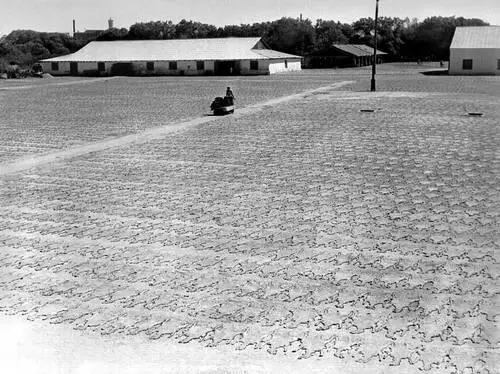 Сушка шкурок на каракулевом заводе Бухарская операция 1920 Бухарская - фото 200