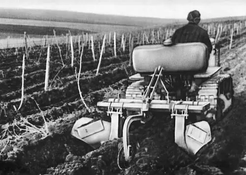 Фотография к ст Виноградниковый плугрыхлитель Виноградниковый посадочный - фото 150
