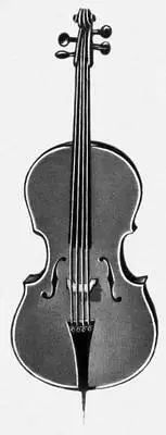 Фотография к ст Виолончель Виолы Виолыитал единственное число viola - фото 187