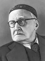 Н Ф Гамалея Гамамелидовые ГамамелидовыеHamamelidaceae семейство - фото 214