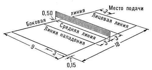 Рисунок к ст Волейбол Волжанка Волжанкаарункус Aruncus род растений - фото 246