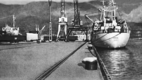 Новороссийский порт Головная часть пирса Участок ВолгоБалтийского водного - фото 123
