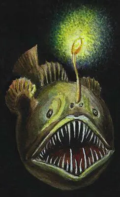 Рыбаудильщик Melanocetus jonstoni Глубоководные животные 1 Рыба - фото 95
