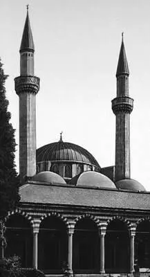 Мечеть Такия Сулеймания 1554 Архитектор Синан Улица АбуРуммание Площадь - фото 143