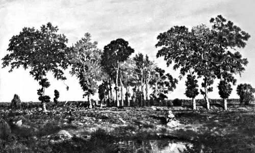 Н Диаз Приближение грозы 1871 Музей изобразительных искусств им А С - фото 6