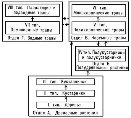 Рис 2 Соотношение отделов и типов жизненных форм покрытосеменных растений - фото 98
