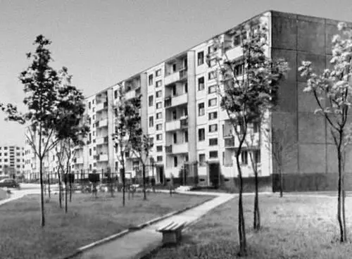 Жилой дом в районе Жирмунай в Вильнюсе 1960е гг Э Май К Г Рудлоф - фото 154