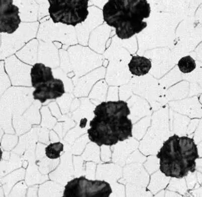 Рис 2зТипичные структуры железоуглеродистых сплавов Серый чугун с шаровидным - фото 73