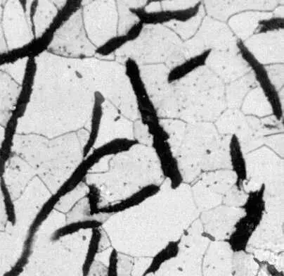 Рис 2ж Типичные структуры железоуглеродистых сплавов Серый чугун - фото 74