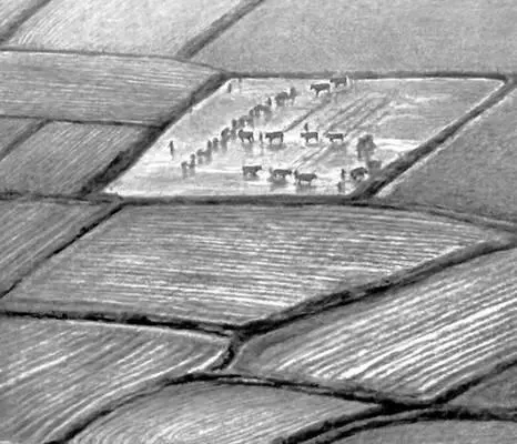 Рисовые поля в дельте р Меконг Рыболовецкая деревня на берегу озера Тонлесап - фото 145