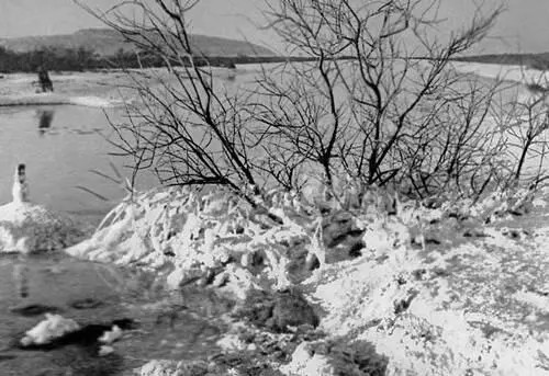 Большая Советская Энциклопедия ИЗ - фото 178
