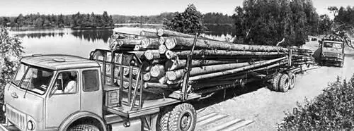 Вывозка древесины Дом Ошевнева 1876 Постройка кошелем - фото 801