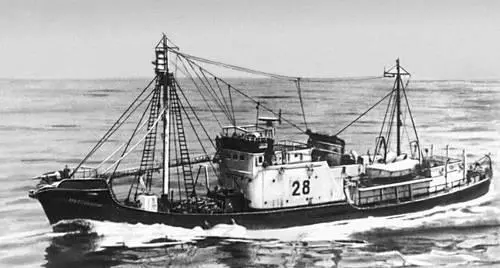 Рис 3 Комбинированное китобойное суднокитобаза Норвегия Рис 1а - фото 444