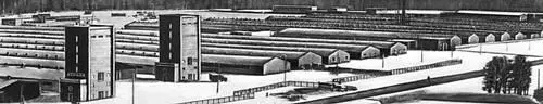 Свиноводческий комплекс Совхоза им 50летия СССР Московской области на 108 - фото 447