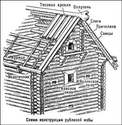 Схема конструкции рубленой избы Конёк насекомое Конёкобщее название - фото 542