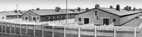 Комплекс по откорму свиней в колхозе им Орджоникидзе Попельнянского рна - фото 266