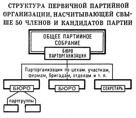 Структура первичной партийной организации насчитывающей свыше 50 членов и - фото 375