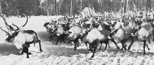 Перегон оленей Ю Г Борисов Портрет С М Черепанова Чугун 1963 - фото 354