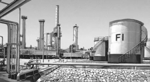 Нефтеперегонный завод в Момбасе Просушка кофейных зёрен Кенкеме - фото 79