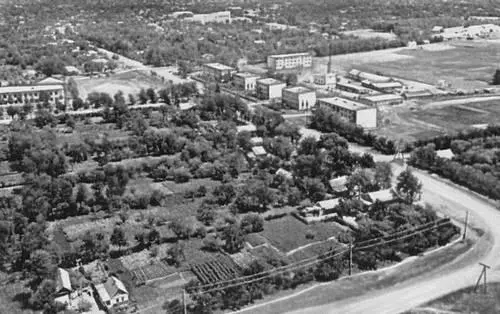 Станица Платнировская Рисовые поля совхоза Красноармейский Уборка риса - фото 60