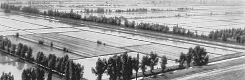 Рисовые поля совхоза Красноармейский Уборка риса в колхозе Советская - фото 61