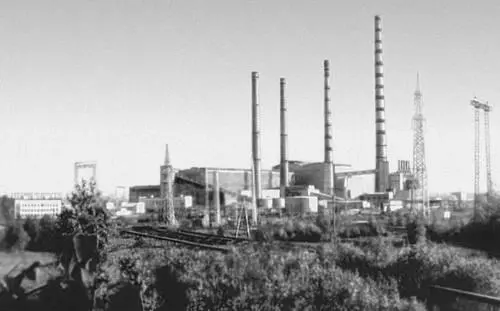 Назаровская ГРЭС Овцы Учумского племенного завода Вид на г Дивногорск - фото 86