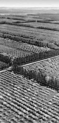 Большая Советская Энциклопедия КР - фото 64