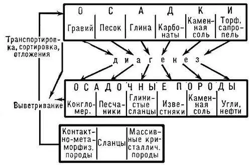 Рис 5 Схема малого круговорота веществ на Земле Рис 1 Схема круговорота - фото 373