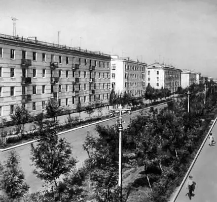 Куйбышевская область Новокуйбышевск Улица Миронова Куйбышевская область На - фото 126
