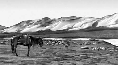 Холодная пустыня в верховьях р Керия Куньмин Куньмингород на ЮЗ - фото 231
