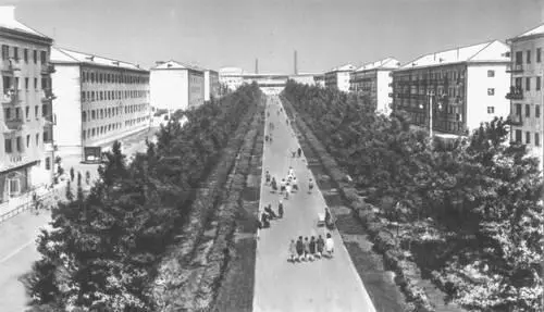 Кустанайская область Город Рудный Улица Космонавтов Кустари Кустариот - фото 320