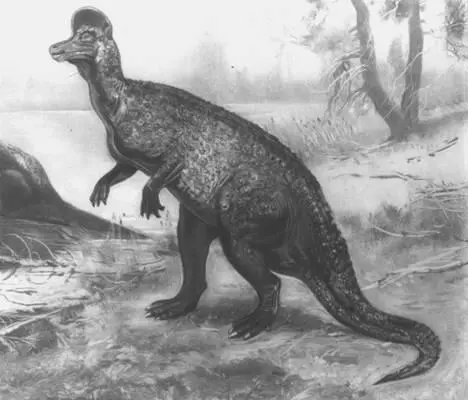 Представитель ламбеозавров Corythosaurus Сев Америка Реконструкция - фото 130