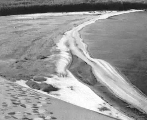 Литва Куршская коса Встреча воинов 16й литовской дивизии в Вильнюсе 1944 - фото 414