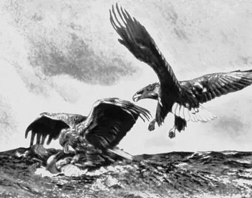 Б Лильефорс Орлы 1897 Национальный музей Стокгольм Лильо Бальдомеро - фото 93