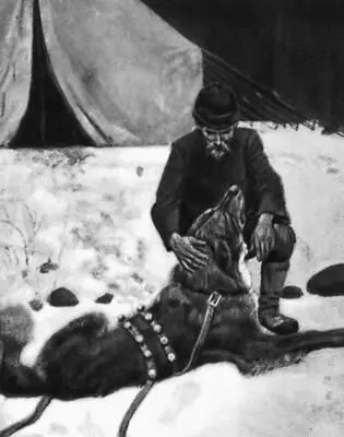 Дж Лондон Зов предков НьюЙорк 1903 Илл Ф Р Гудвина Лондон Ефим - фото 142