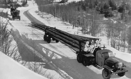 Вывозка древесины О А Дедов Девушкамари Гипс 1964 Марийский - фото 661
