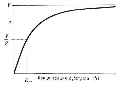 Зависимость скорости ферментативной реакции uот концентрации субстрата S - фото 363