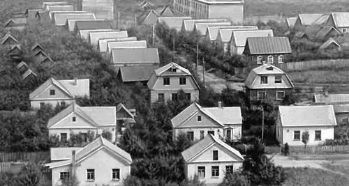 Посёлок Раковское шоссе Уборка льна в колхозе Пионер Копыльского района - фото 239