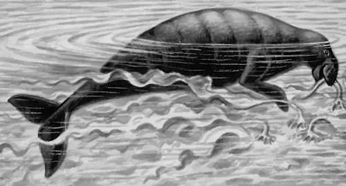 Рис к ст Морская корова Морская обсерватория Морская - фото 457