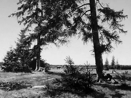 А И Морозов Летний день 1878 Русский музей Ленинград Морозов Борис - фото 450