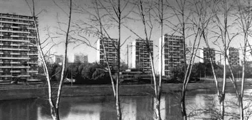 Жилой район Черкизово Застройка конца 60х гг Архитекторы В А Нестеров Ф - фото 589